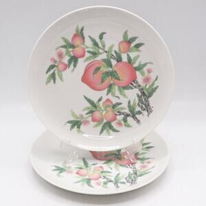 Set of 2 Mandarin Luncheon Plate Dolphin China Oranges Green Leaves